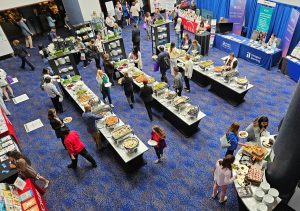 Lunch as viewed from the balcony