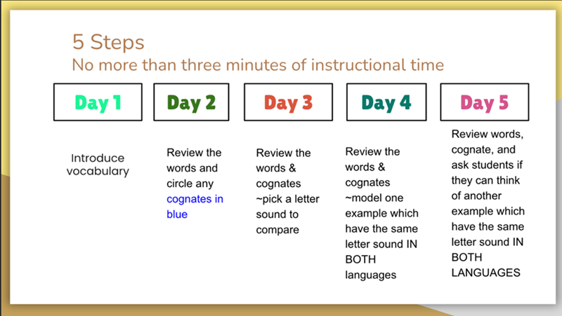 5 daily steps