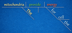 diagrammed sentence