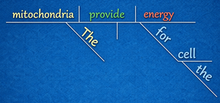 diagrammed sentence