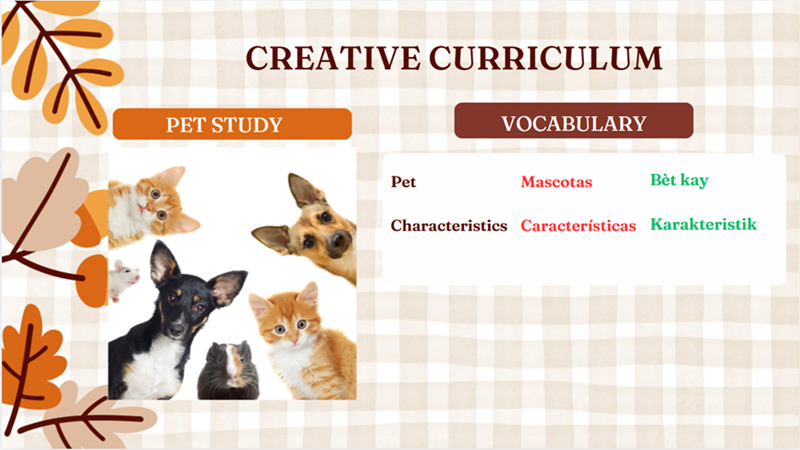 Creative curriculum with pets