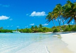 beach scene